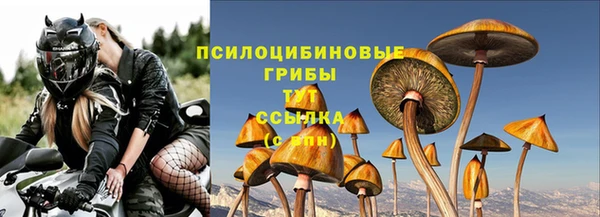 дмт Абинск