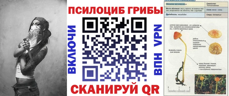 купить наркоту  ОМГ ОМГ рабочий сайт  Галлюциногенные грибы прущие грибы  Рязань 